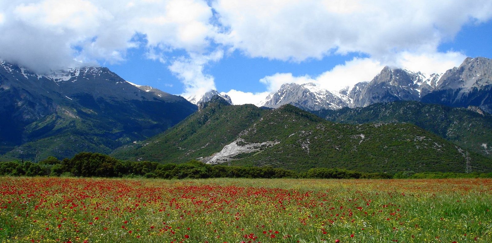 Mount Parnassus